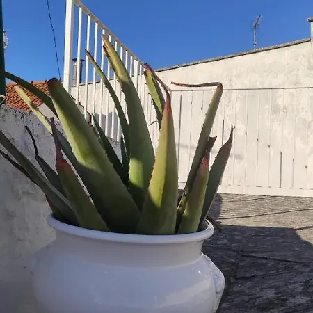 Ferienhaus La Dimora Dell'artista Ostuni